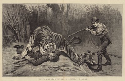 In the Bengal Jungle, a Critical Moment by John Charlton